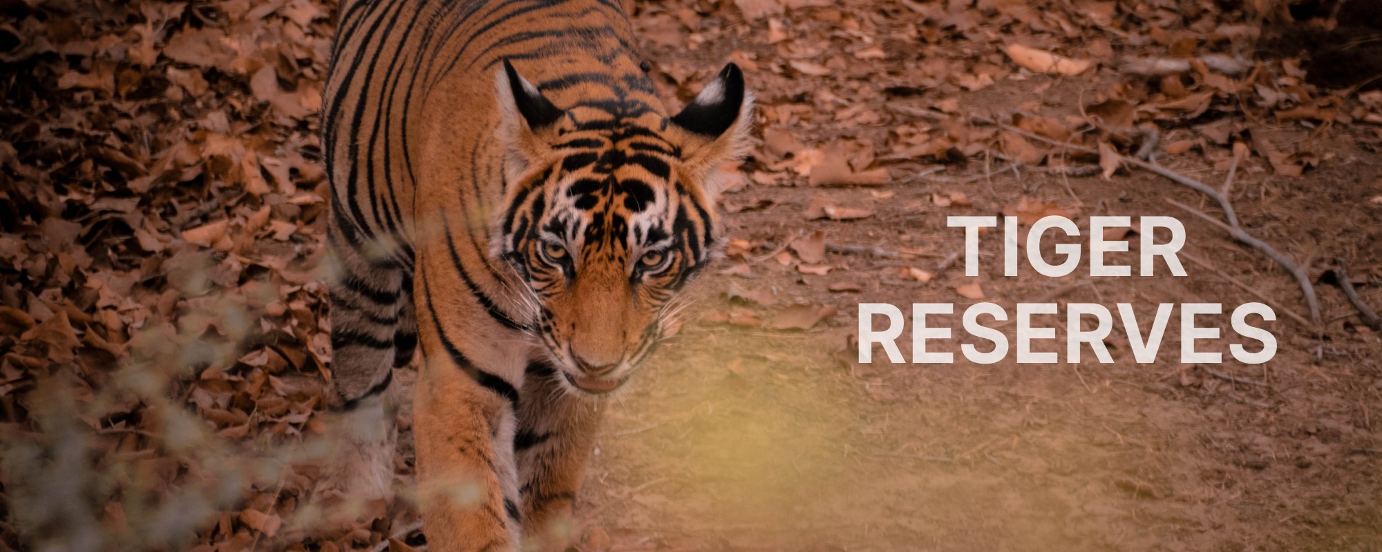 Tiger Reserves