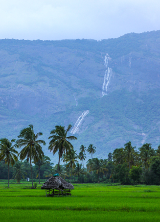 alappuzha