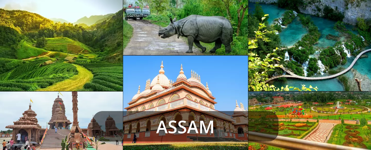 Assam Image