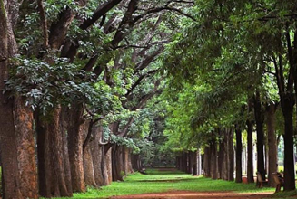 Cubbon Park