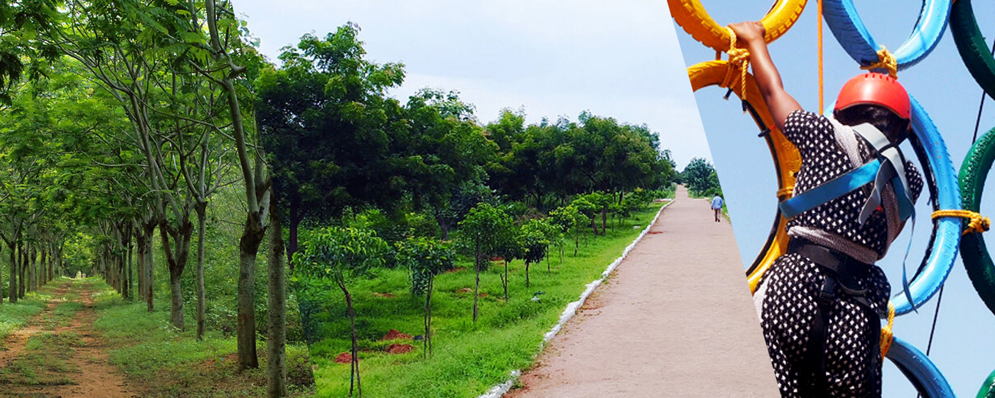 Environmental Conservation Projects in India