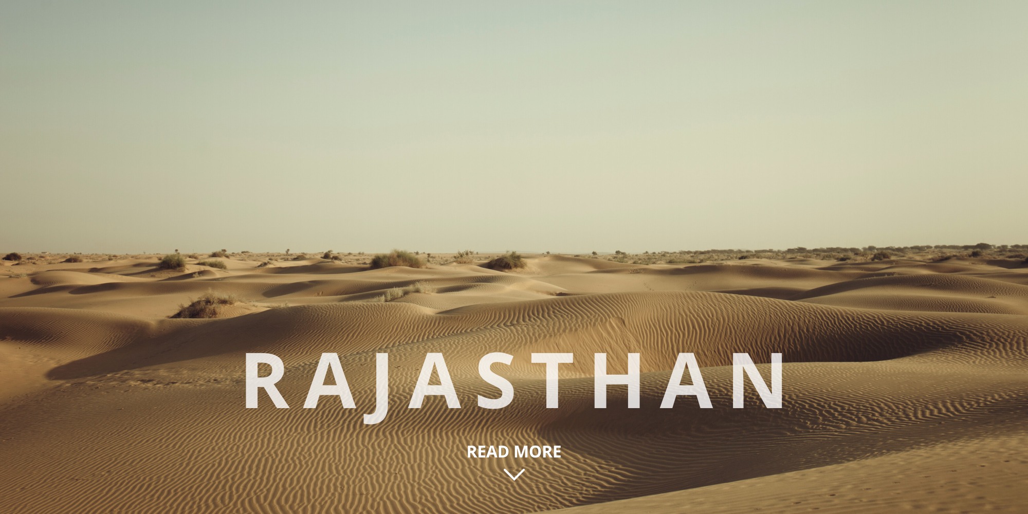 Indian Desert Safaris and Camel Rides