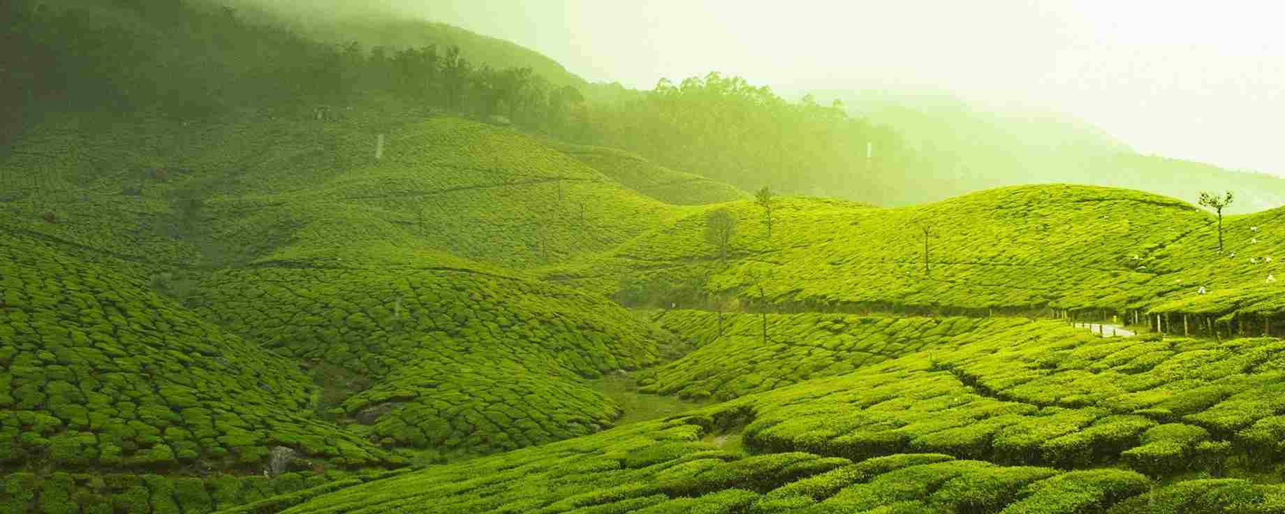INDIAN HACKATHONS AND TECH CHALLENGES
