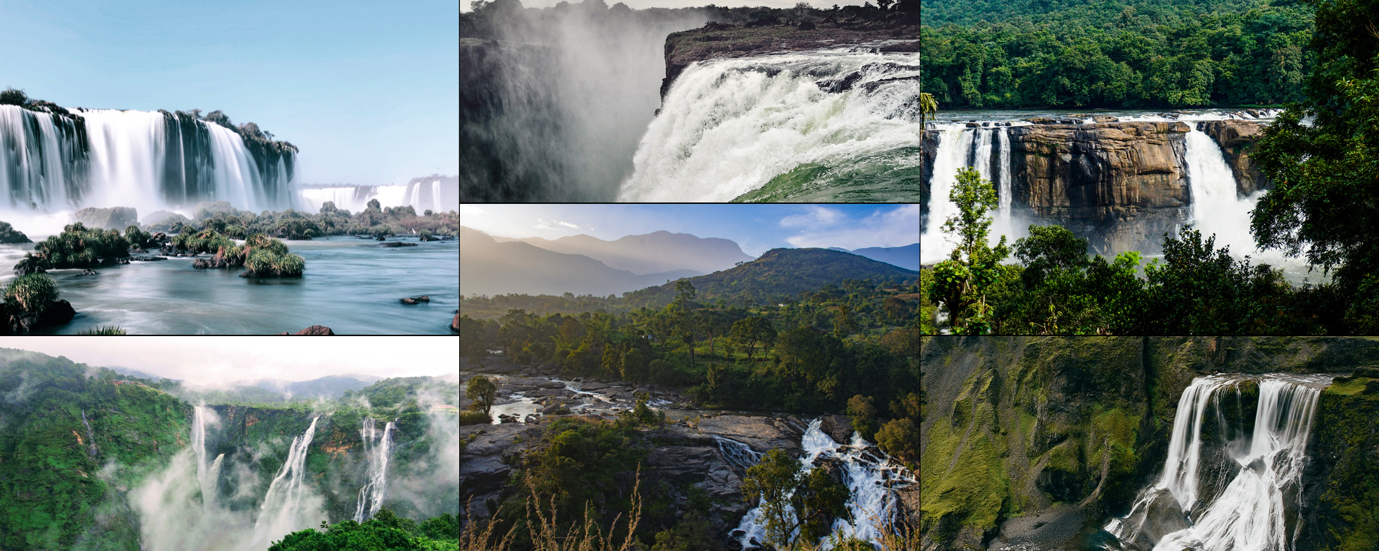 Indian Monsoon and Rainforest Tours
