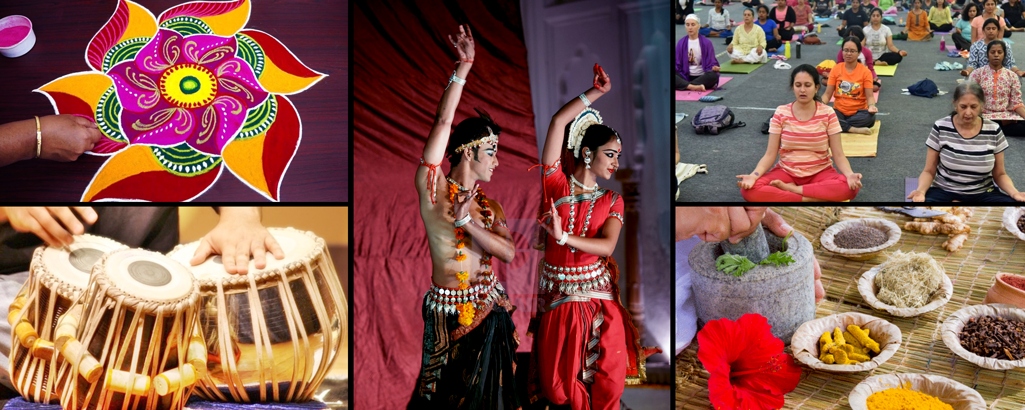 Indian Traditional Healing & Herbal Medicines