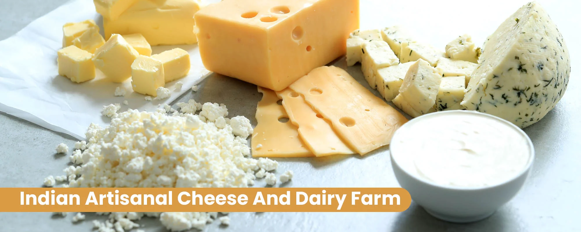 Indian Artisanal Cheese and Dairy Farm