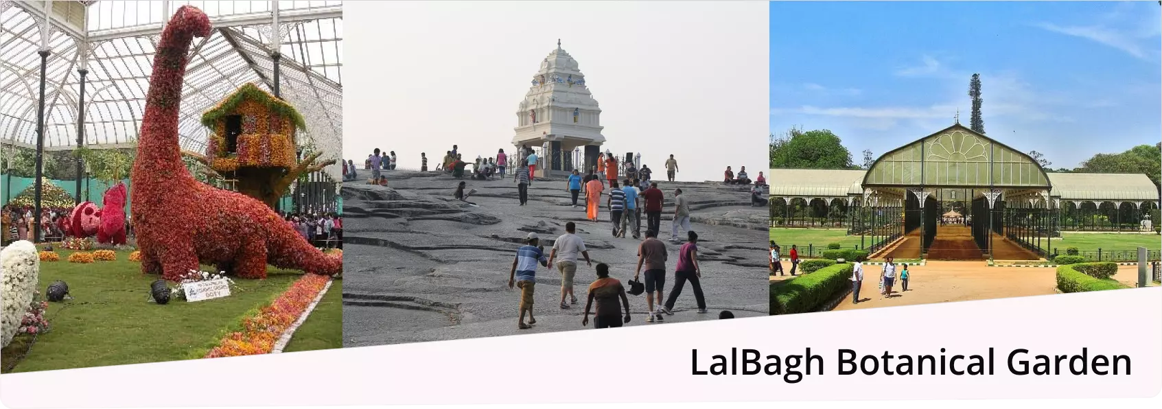 Lalbagh Botanical Garden