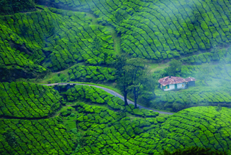 munnar