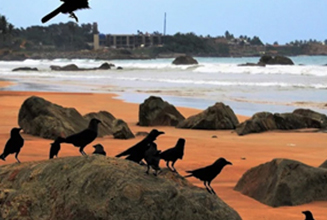 murudeshwara beach