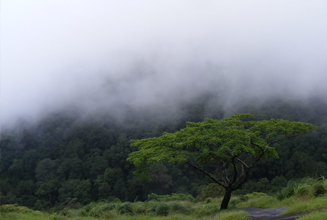 palakkad