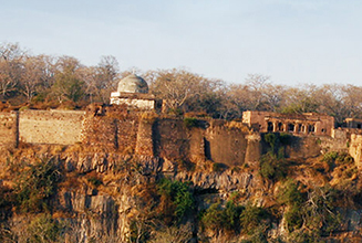 ranthambhore fort