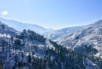 shimla