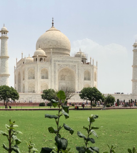 Taj Mahal Garden