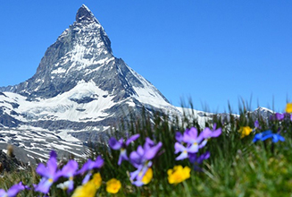 valley of flowers